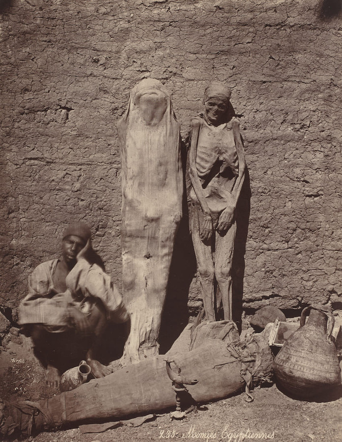 momie-expo-musee-homme-egypte-le-bonbon-paris