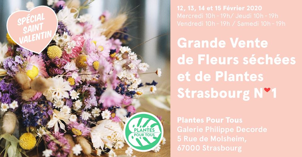 Plantes pour tous Strasbourg